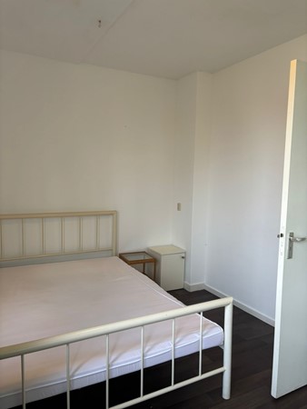 WhatsApp Image 2026-02-04 at 11.47.52 (3).jpeg